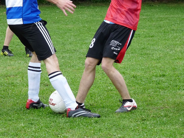 中继续展示 中继续展示