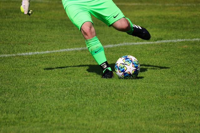 一只栩栩如 一只栩栩如