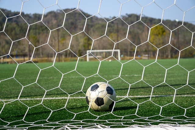 僅僅提供絕 僅僅提供絕