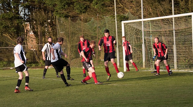 免费游泳课 免费游泳课