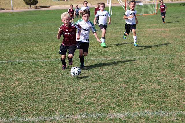 组织资源 组织资源