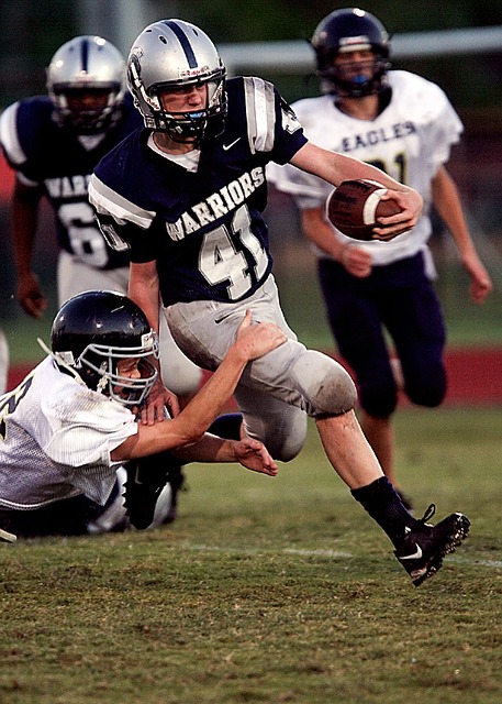 多特蒙德后 多特蒙德后