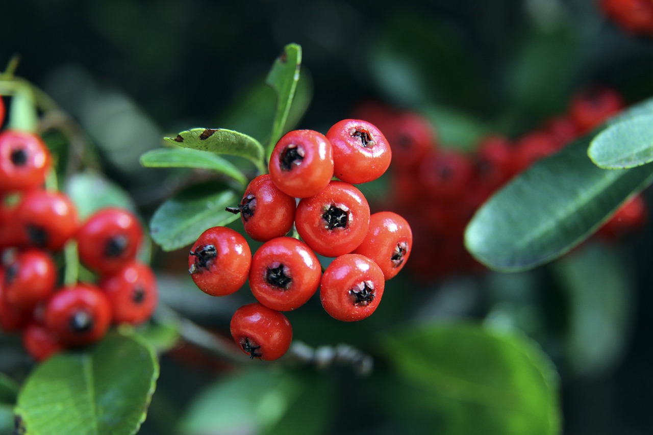 赛中脱颖而 赛中脱颖而