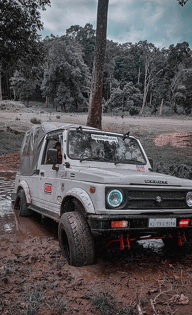 哪些赛事属 哪些赛事属